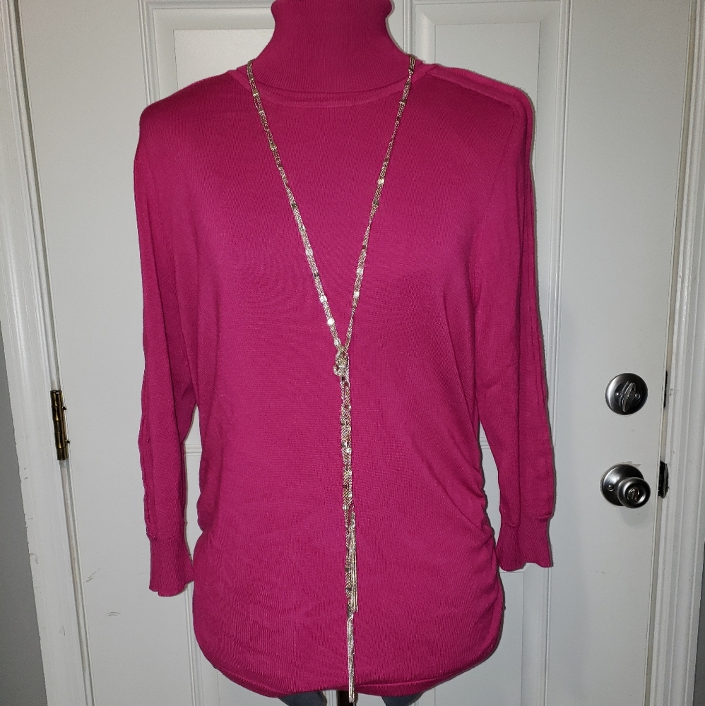 Peck & Peck turtleneck sweater